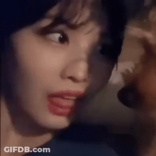 Momo Twice Playing With Dog GIF