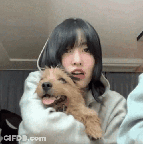 Momo Twice Weird Funny Dog GIF