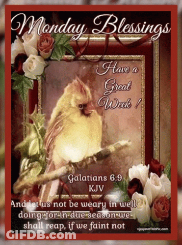 Monday Blessings Bird On Branch GIF