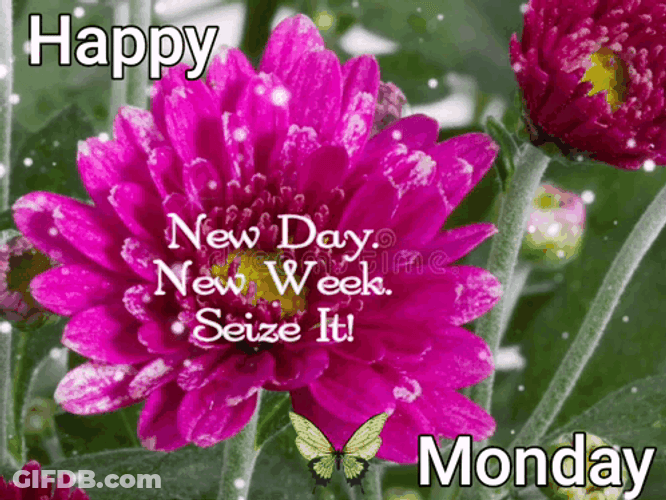Monday Blessings New Day New Week GIF