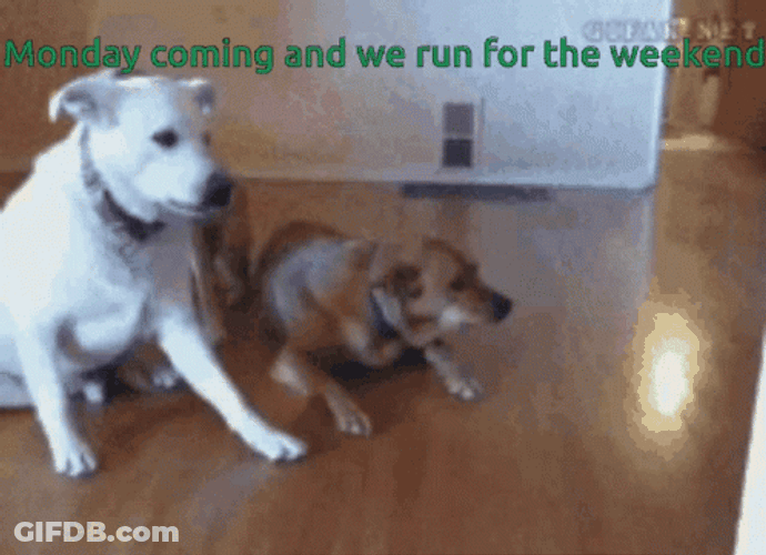Monday Coming And We Run Almost The Weekend GIF