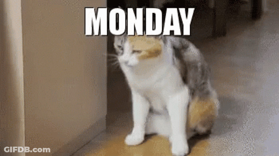 Monday Feeling Tired Meme GIF