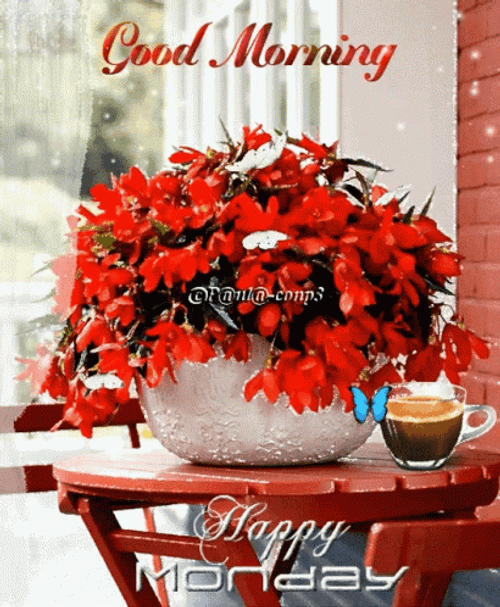 Monday Good Morning Butterfly Flowers GIF