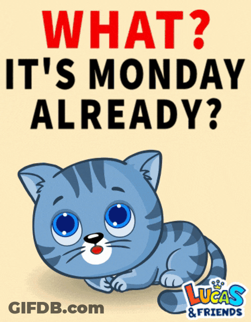 Monday Monday Mood GIF