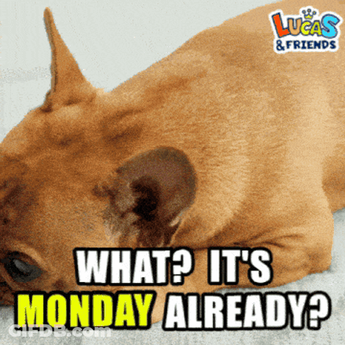 Monday Weekday GIF