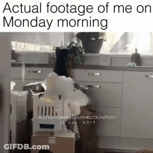 Monday Work Actual Footage Meme GIF