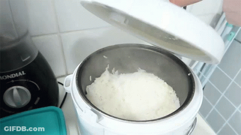 Mondial Blender Next To Rice Cooker GIF