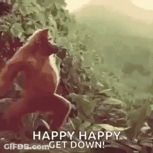 Moneky Dancing Happy Happy Joy Joy Get Down GIF