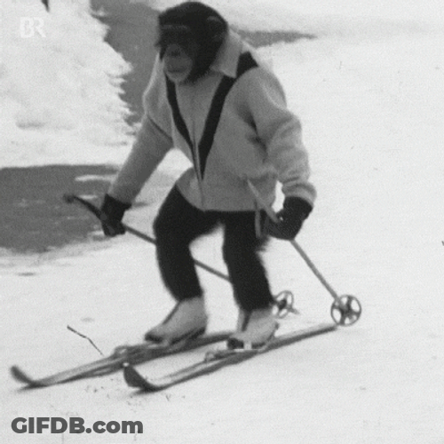 Money Know How To Ski Also GIF