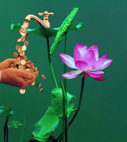 Money Rain Coin Flower GIF