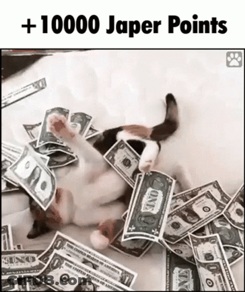 Money Rain Happy Cat GIF