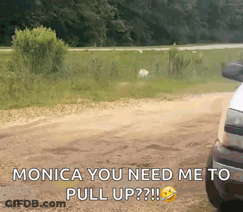 Monica You Need Me To Pull Up GIF