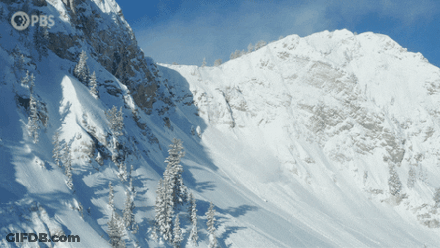 Monitoring Avalanche GIF