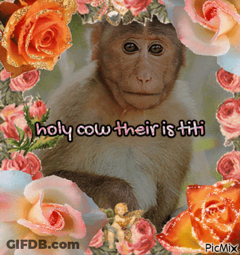 Monkey Among Flowers Holy Cow Their Is Titi GIF