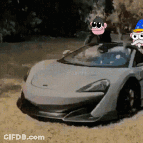 Monkey And Cat In Sports Car GIF
