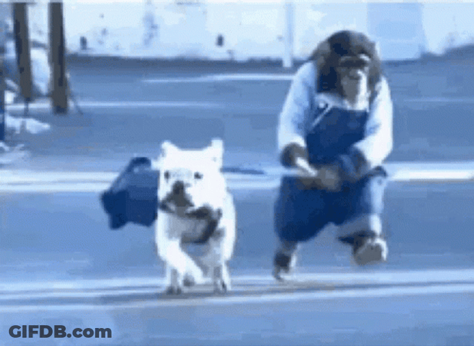 Monkey And Dog Running GIF