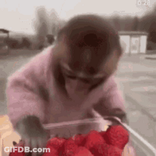 Monkey Animal Eating Strawberry GIF