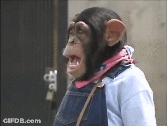 Monkey Ape Screaming GIF