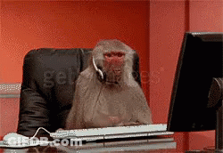 Monkey At Computer Desk With Headset GIF