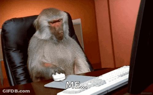 Monkey At Computer Says Me GIF
