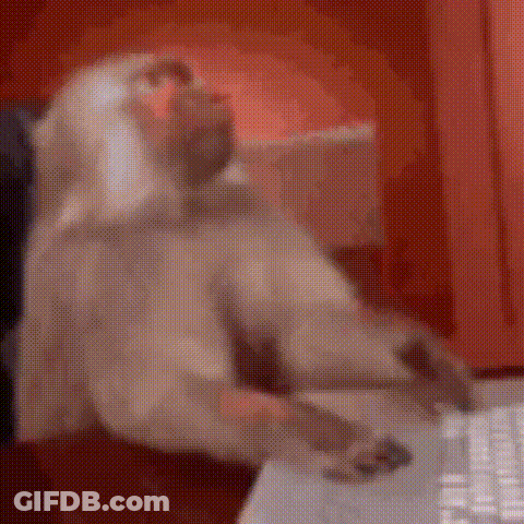 Monkey At Desk Using Computer Mouse GIF