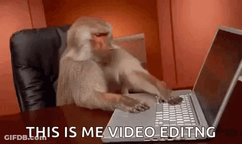 Monkey At Desk Using Computer Mouse GIF