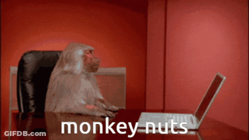 Monkey At Desk With Laptop And Monkey Nuts On Table GIF