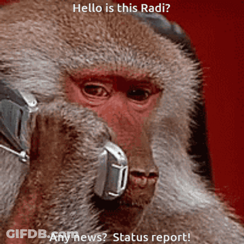 Monkey Baboon Phone Call Meme GIF