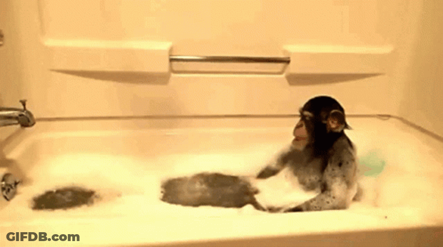 Monkey Bath Time GIF
