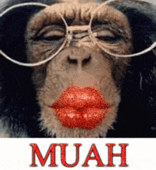 Monkey Big Kiss Muah GIF