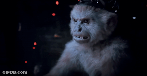 Monkey Bill Armstrong Can't Keep Getting Away With It GIF