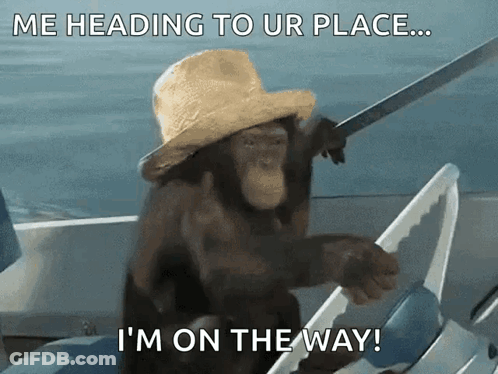 Monkey Boat GIF