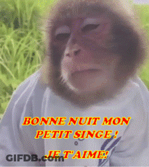 Monkey Bonne Nuit Mon Petit Singe Je T'aime GIF