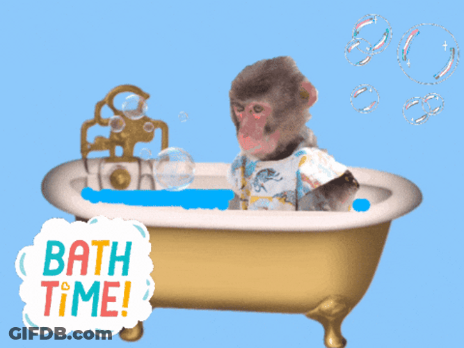 Monkey Brown Sitting Bath Tub Time GIF