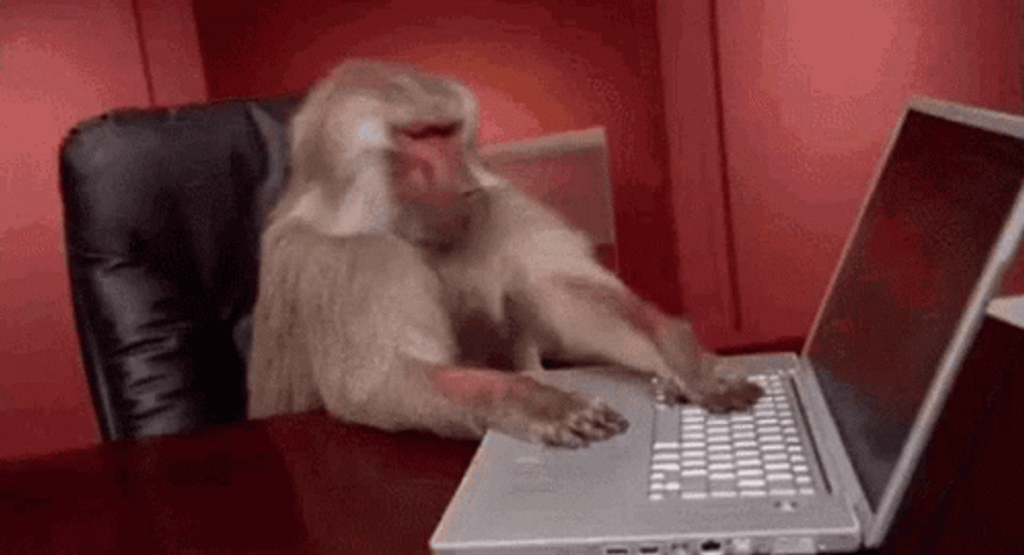 Monkey Busy Typing Laptop GIF