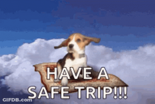 Monkey Carrying Suitcase And Ticket GIF