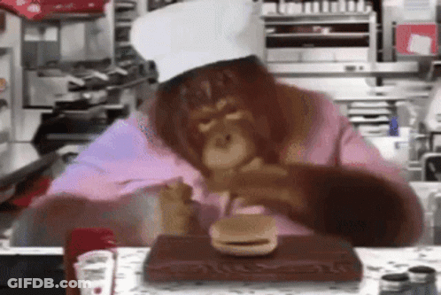 Monkey Chef Eating Hamburger GIF