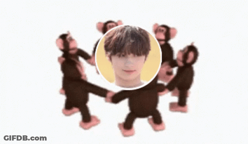 Monkey Circle Aira GIF