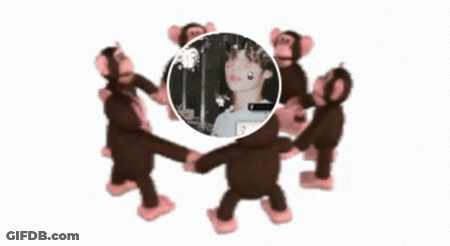 Monkey Circle Brunette Hyuka GIF