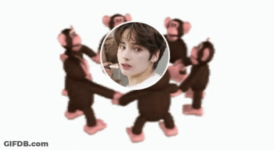 Monkey Circle Brunette Kai Super Cute GIF