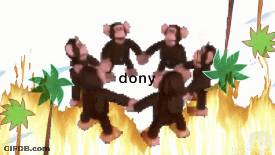 Monkey Circle Dony GIF