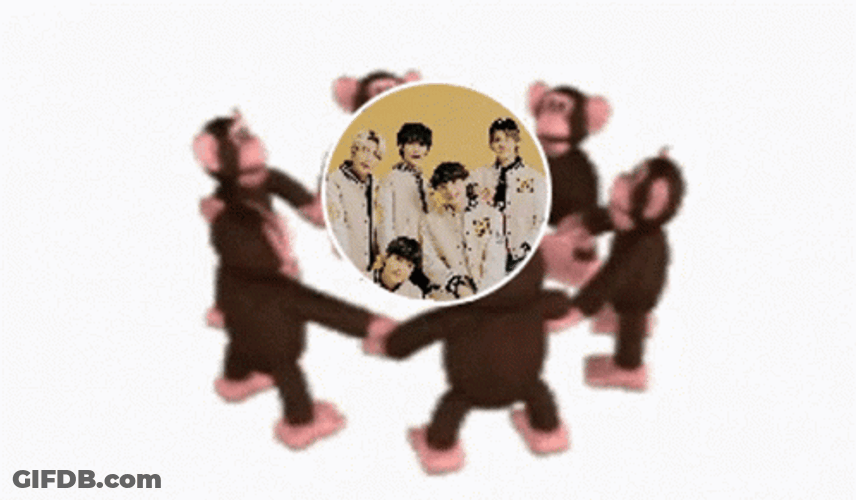Monkey Circle Gyuxe GIF