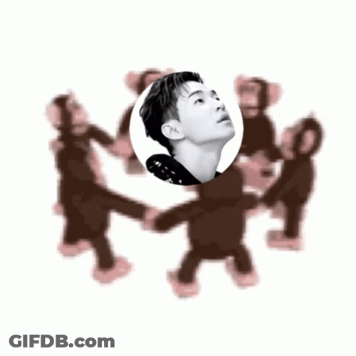 Monkey Circle Henry Lau GIF