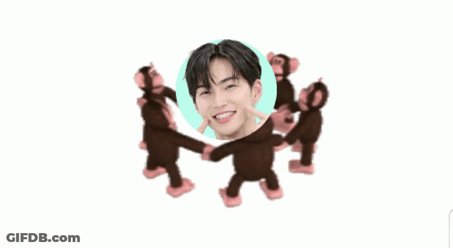 Monkey Circle Hong Seunghan GIF