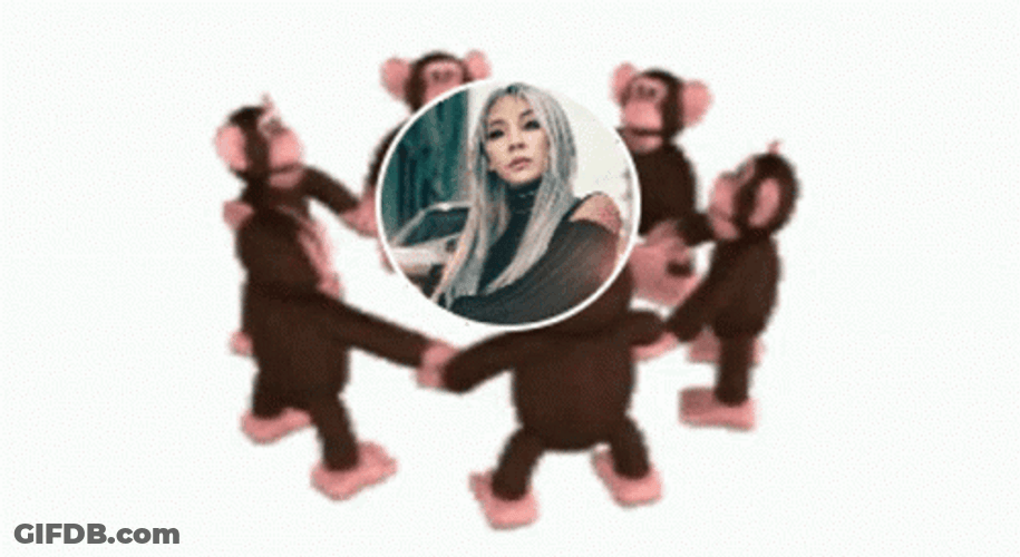 Monkey Circle Lee Chaerin GIF