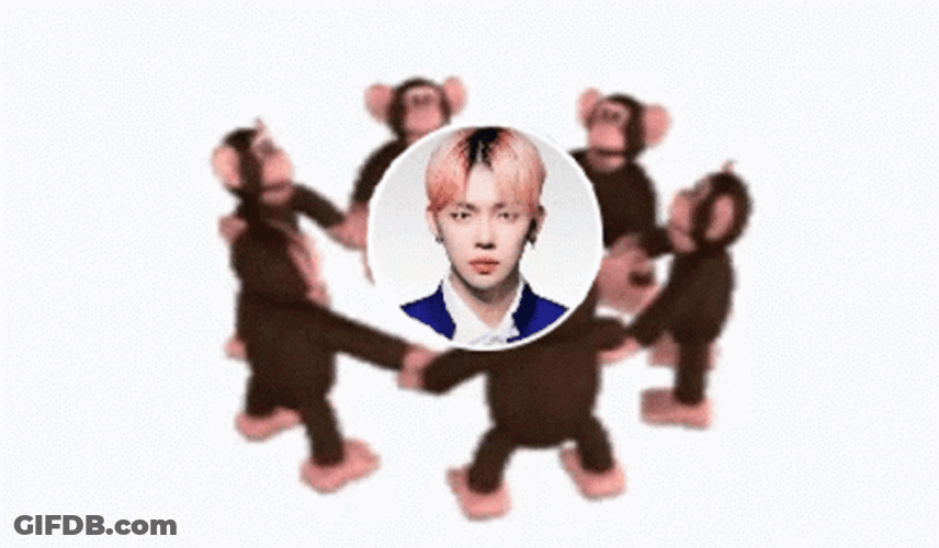 Monkey Circle Pink Junie GIF