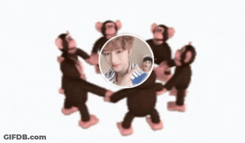 Monkey Circle GIF