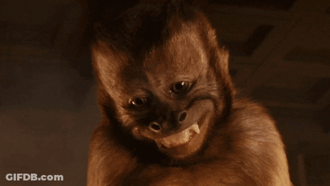 Monkey Close Up Showing Teeth GIF