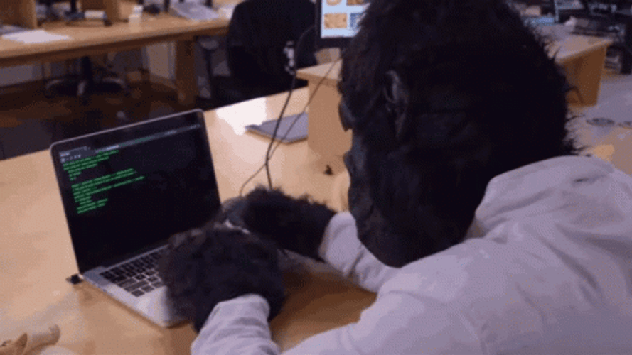 Monkey Computer Code Typing GIF