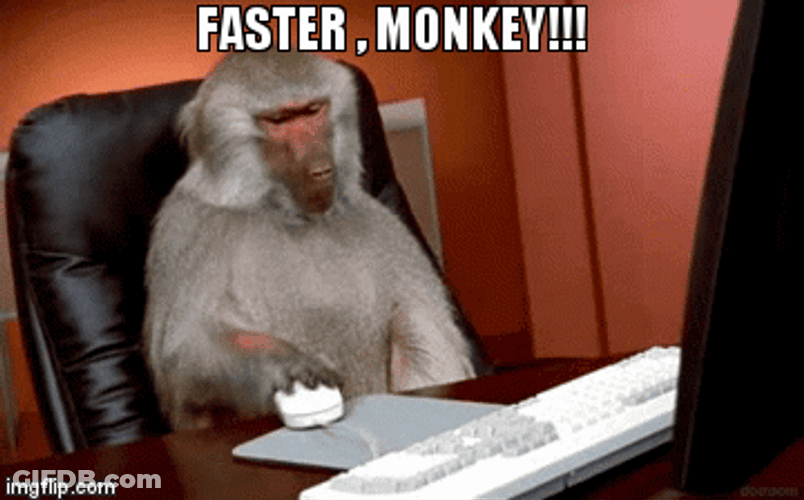 Monkey Computer Faster Monkey Fast Click GIF